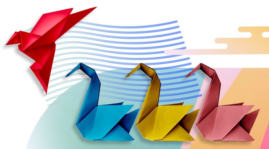 Consulenza IT e supporto evolutivo